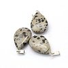 Teardrop Natural Dalmatian Jasper Pendants G-Q368-23-2