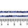 Natural Sodalite Beads Strands X-G-G139-A07-02-5