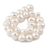 Natural Cultured Freshwater Pearl Beads Strands PEAR-A006-08C-3