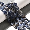 Natural Blue Spot Jasper Beads Strands G-I377-A12-1