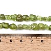 Natural Peridot Beads Strands G-H346-A01-01-5