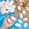 40Pcs Natural Shell for Aquarium Fish Tank Ornaments SHEL-PH0001-69B-3