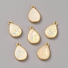 Brass Resin Imitation Opal Pendants LS-KK-WH0054-67G-1