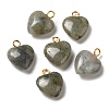 Natural Labradorite Pendants G-E603-01G-08-1