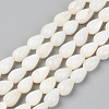 Natural Freshwater Shell Beads Strands X-SSHEL-R048-007B-1