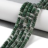 Natural Qinghai Jade Beads Strands G-K343-C31-01-1