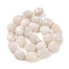 Natural Rainbow Moonstone Beads Strands G-P541-A01-01-2