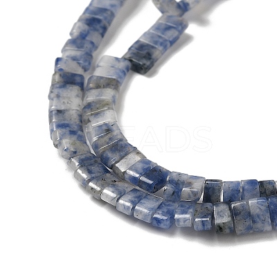Natural Blue Spot Jasper Beads Strands G-Z045-A08-01-1