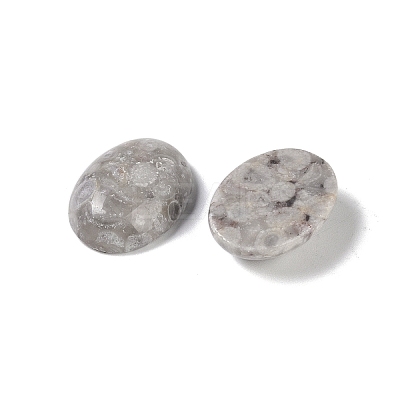 Natural Maifanite Cabochons G-B080-01A-12-1