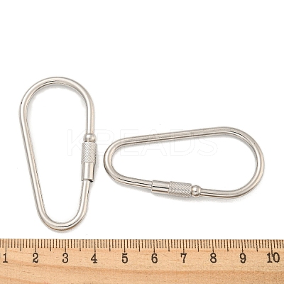 Non-Tarnish 304 Stainless Steel Screw Carabiner Lock Charms LS-STAS-C092-06P-1