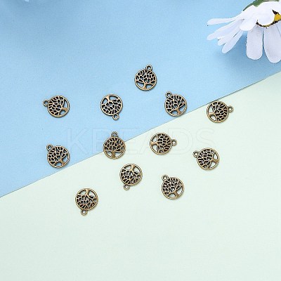 Tibetan Style Alloy Pendants LS-TIBEP-T009-25AB-NR-1