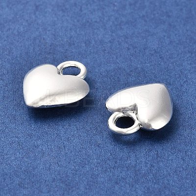 Long-Lasting Plated Alloy Charms PALLOY-A006-18S-1