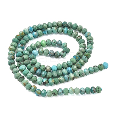 Natural HuBei Turquoise Beads Strands G-P629-B02-01-1