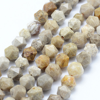Natural Fossil Coral Beads Strands G-F523-23-8mm-1