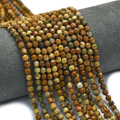 Natural Picture Jasper Beads Strands G-A260-A47-01-1