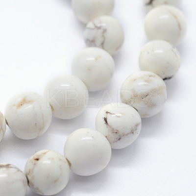 Natural Magnesite Beads Strands X-G-I199-27-12mm-1