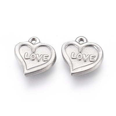 304 Stainless Steel Charms LS-STAS-P228-01-1