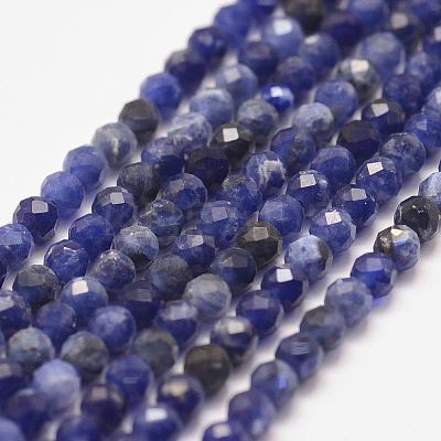 Natural Sodalite Bead Strands X-G-P279-58-3mm-1