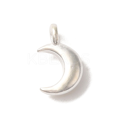 925 Sterling Silver Charms FIND-U013-06S-01-1