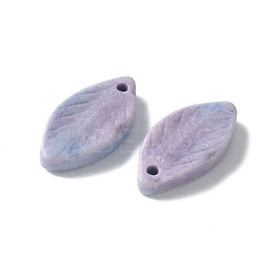 Natural Rainbow Alashan Agate Pendants G-G194-03A-1