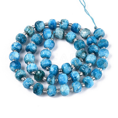 Natural Apatite Beads Strands G-T144-A01-08-1