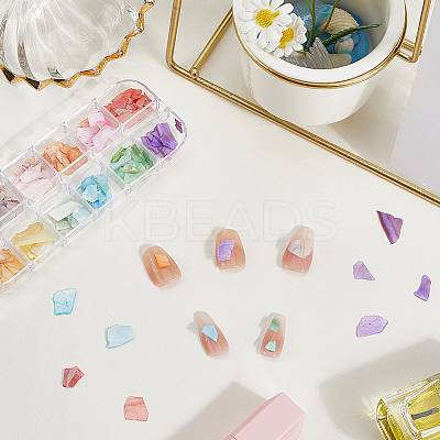 1 Set 12 Grid Nuggets Abalone Shell Nail Art Sequins for Woman Girls MRMJ-SP0001-06-1