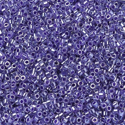 MIYUKI Delica Beads SEED-JP0008-DB0250-1