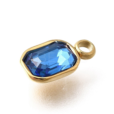 304 Stainless Steel Pendants STAS-Q346-03G-02-1