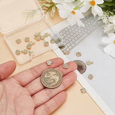 20Pcs 2 Styles Brass Clear Cubic Zirconia Charms FIND-AR0005-22G-1