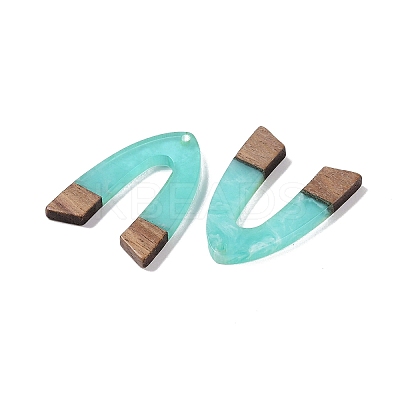 Resin & Wood Pendants WOOD-F015-16D-1