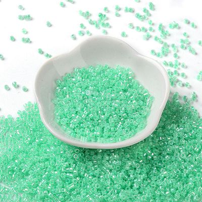 Glass Seed Beads SEED-S042-13A-11-1
