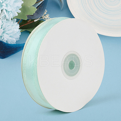 1Roll Solid Color Organza Ribbons ORIB-CY0001-02O-1