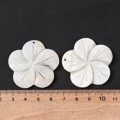 Natural Freshwater Shell Carved Pendants BSHE-S304-14-1