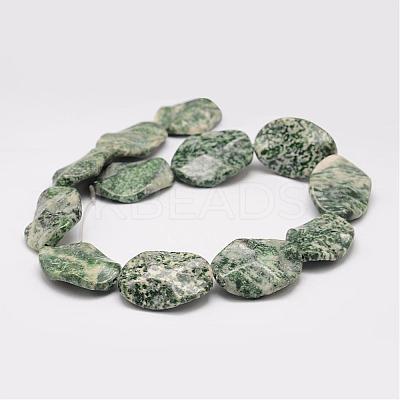 Natural Green Spot Jasper Bead Strands G-K153-K02-1