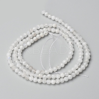 Natural Rainbow Moonstone Beads Strands G-O186-D02-01-1