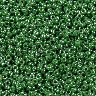 MIYUKI Round Rocailles Beads SEED-G009-RR0431-1