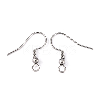 Tarnish Resistant 316 Surgical Stainless Steel Earring Hooks STAS-O032-01-1