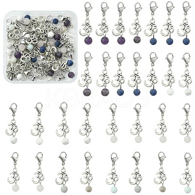 Natural Gemstone Pendants HJEW-SC0001-12-1