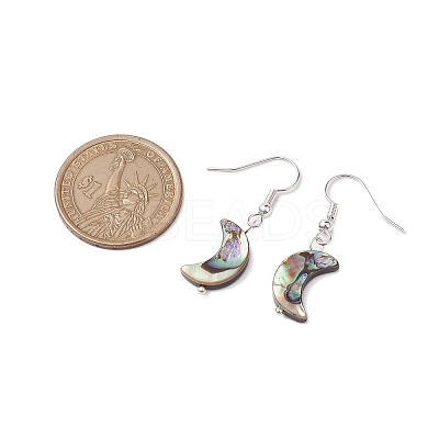 Natural Abalone Shell/Paua Shell Dangle Earring EJEW-JE05916-02-1