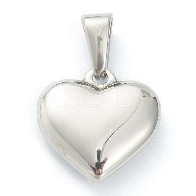 304 Stainless Steel Pendants STAS-P278-01Q-P-1