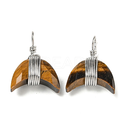 Natural Tiger Eye Copper Wire Wrapped Pendants G-B079-01P-01-1