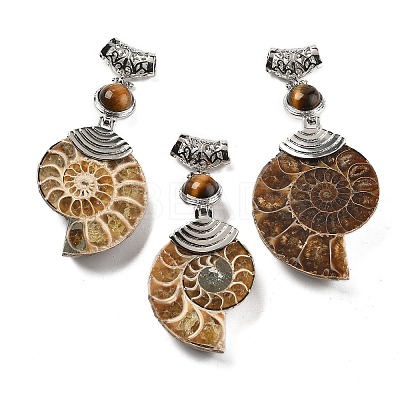 Natural Tiger Eye Fossil Snail Pendants G-F062-13-1