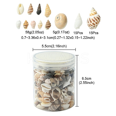 12 Styles Natural Mixed Shell Beads SSHEL-YW0001-05-1