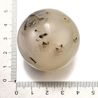 Natural Ocean Jasper Crystal Ball PW-WG29726-01-1