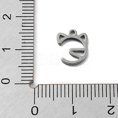 Non-Tarnish 304 Stainless Steel Charms LS-STAS-K272-01C-P-1