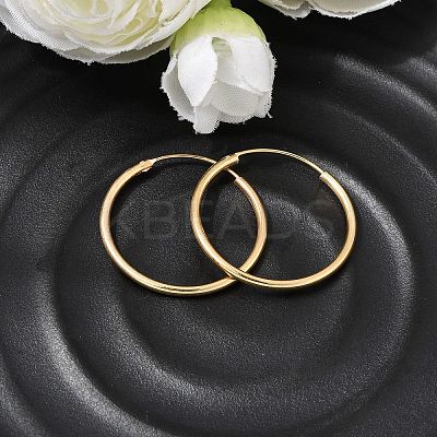Brass Hoop Earrings EJEW-G474-01G-04-1