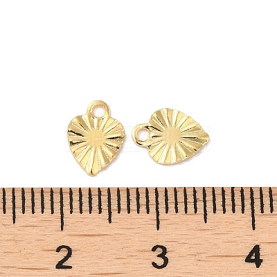 304 Stainless Steel Charms X-STAS-C080-03G-1