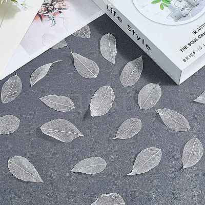 100Pcs Dried Flower Leaf Craft Supplies AJEW-CP0009-41B-1