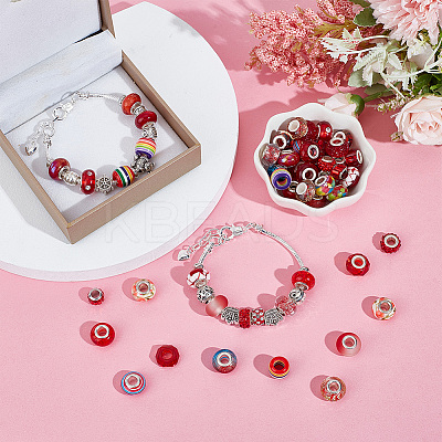 Acrylic & Resin & Polymer Clay Rhinestone European Beads FPDL-NB0001-05-1