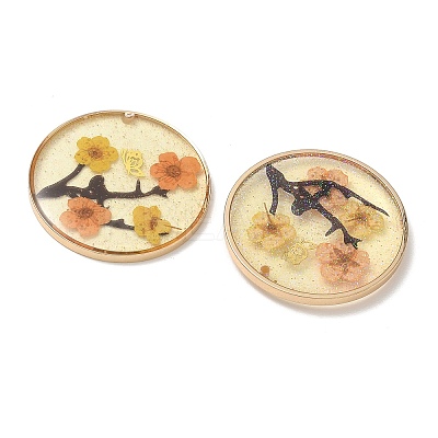 Plating Brass & Transparent Epoxy Resin & Dried Flower Pendants RE-CBAA153-06B-1